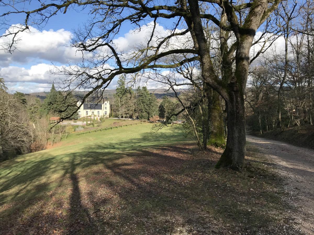 Domaine Le Castelet Bed and Breakfast Castres  Exteriör bild
